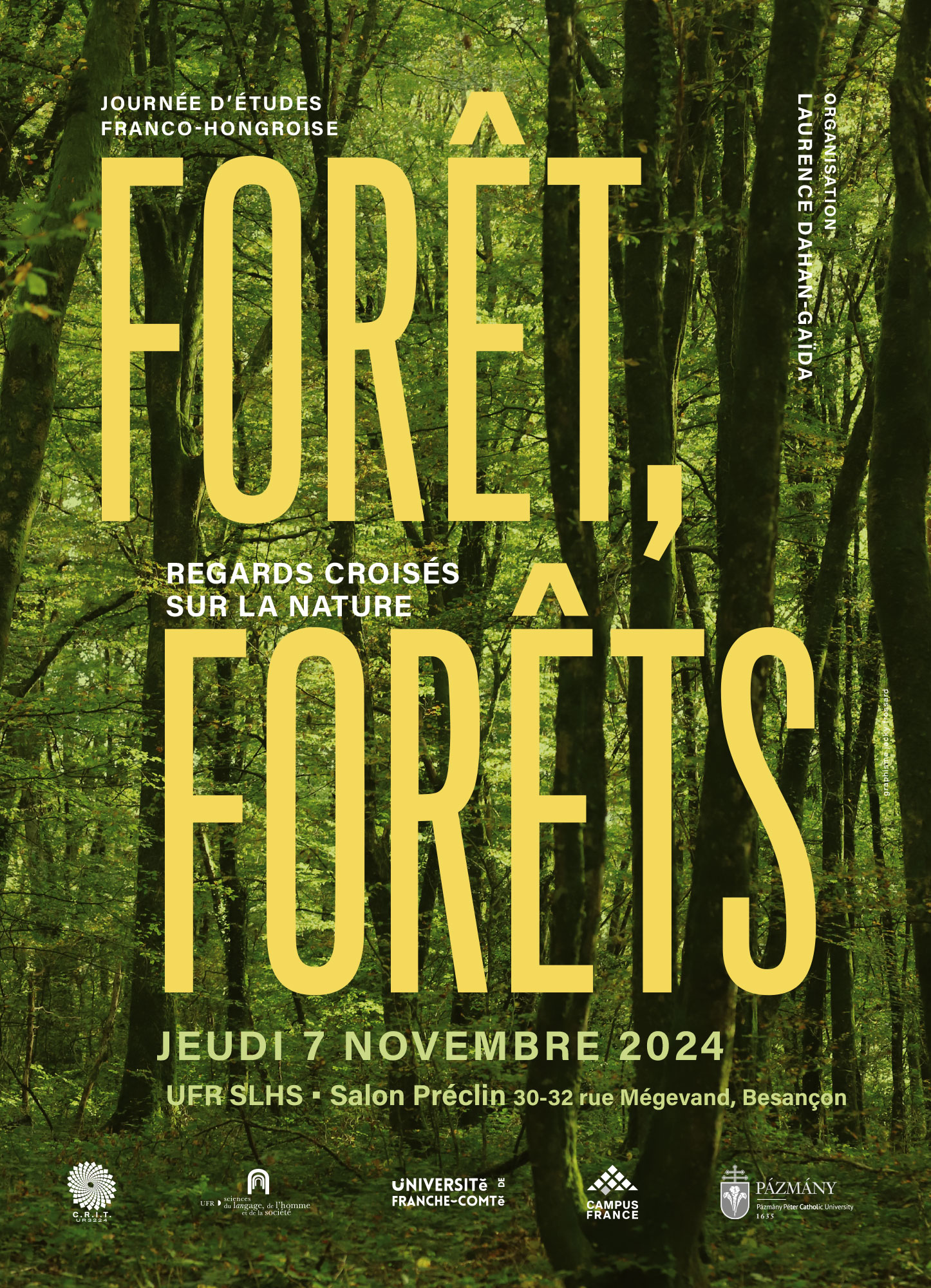 Forêt, forêts